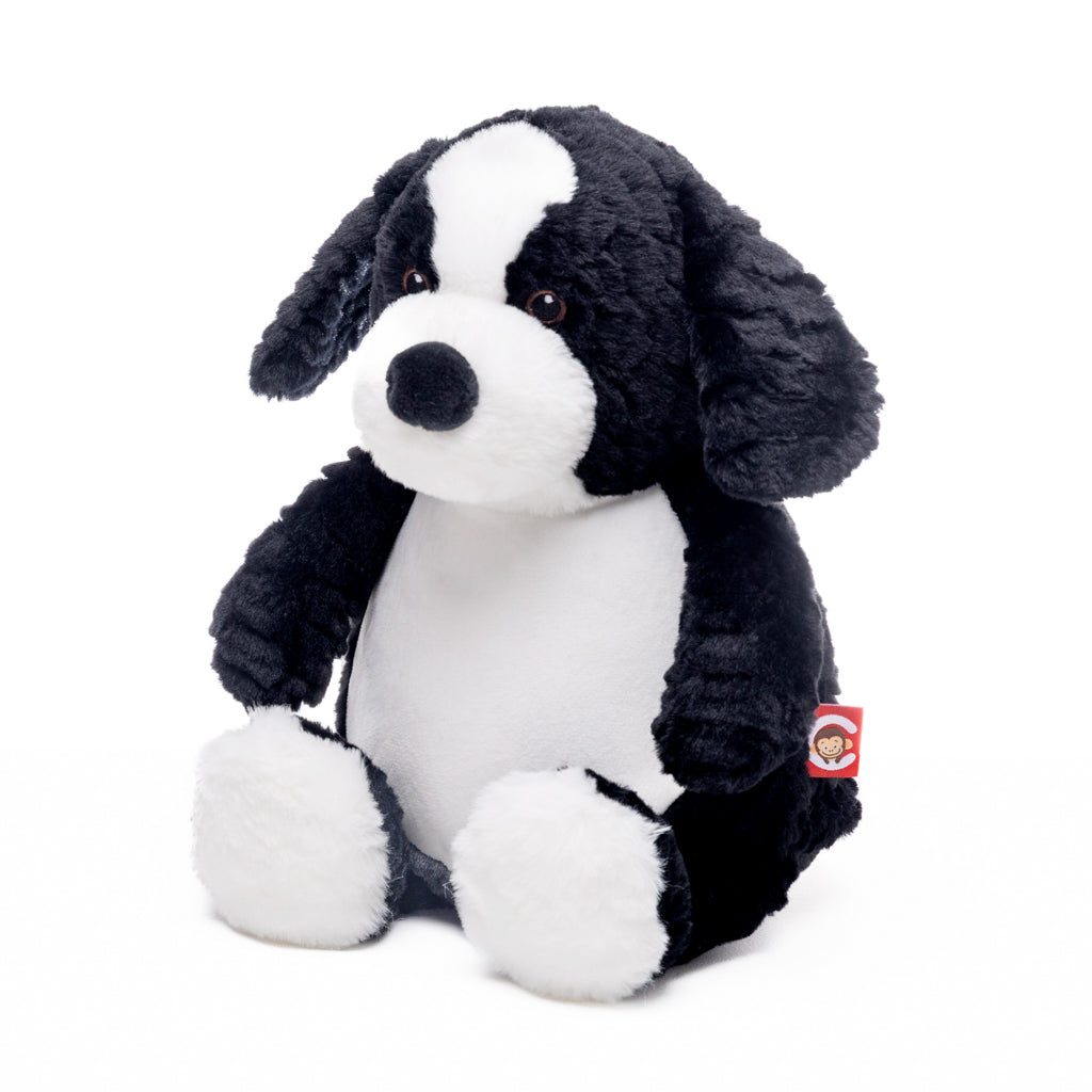 Jelly Bean - Baby Border Collie