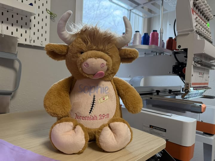 Rufus - Highland Cow