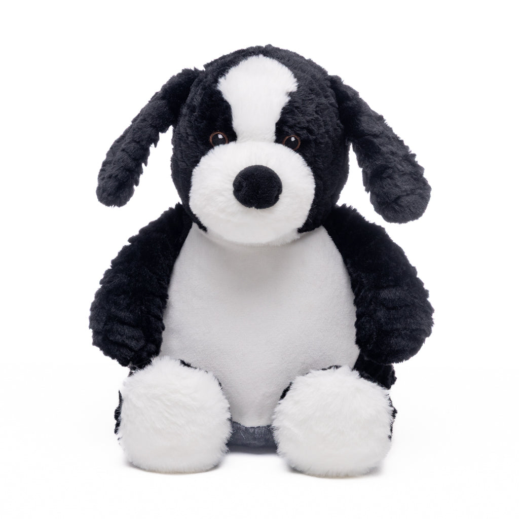 Jelly Bean - Baby Border Collie
