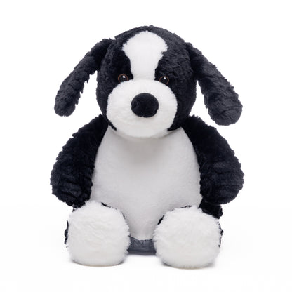 Jelly Bean - Baby Border Collie