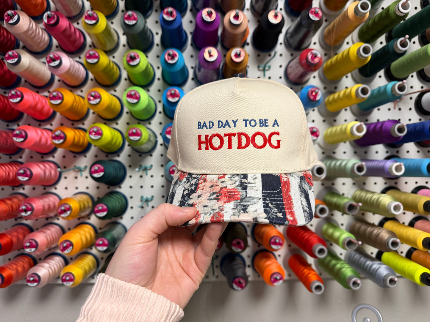 Bad Day to Be a Hotdog Hat