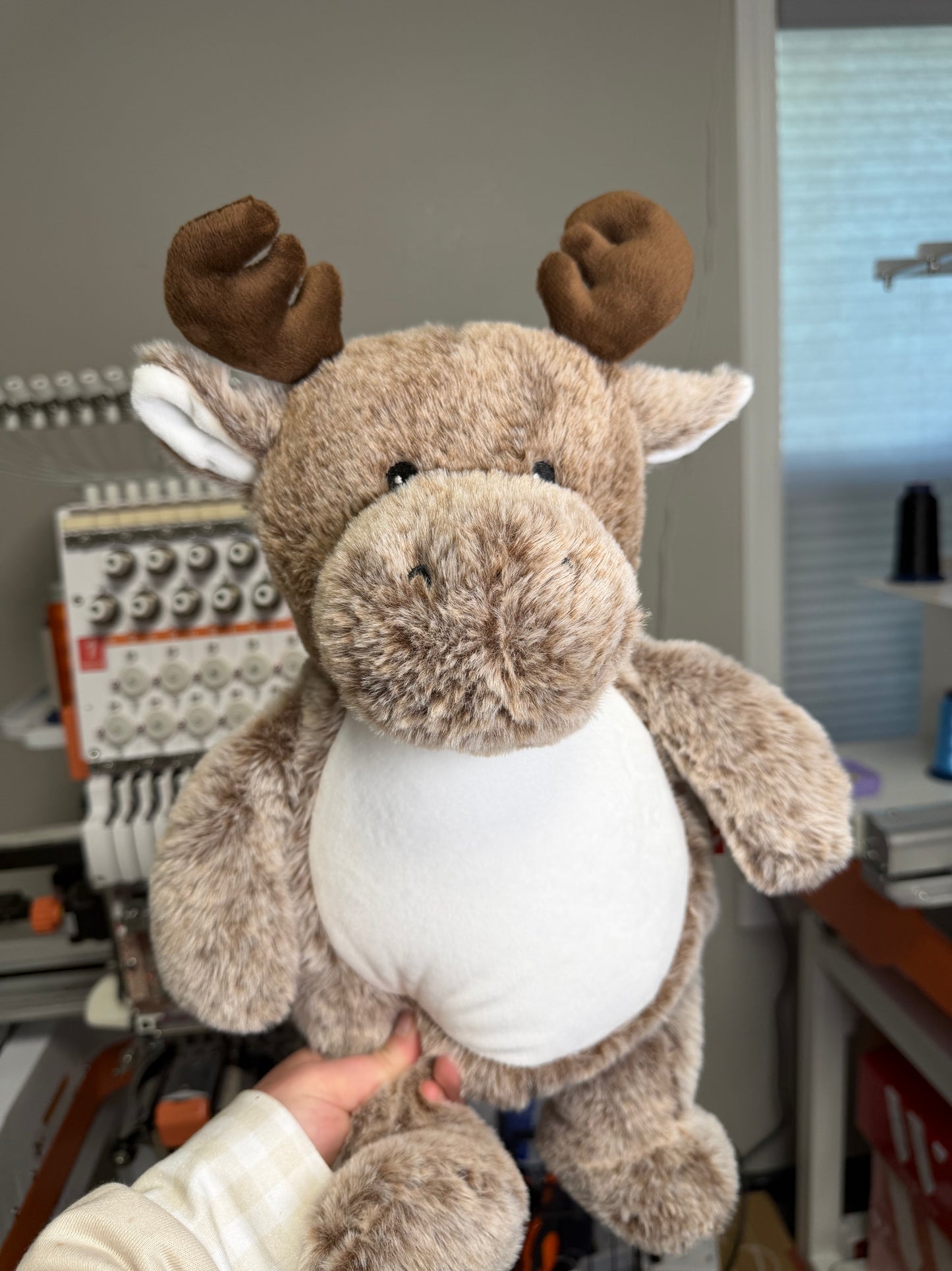 Moose