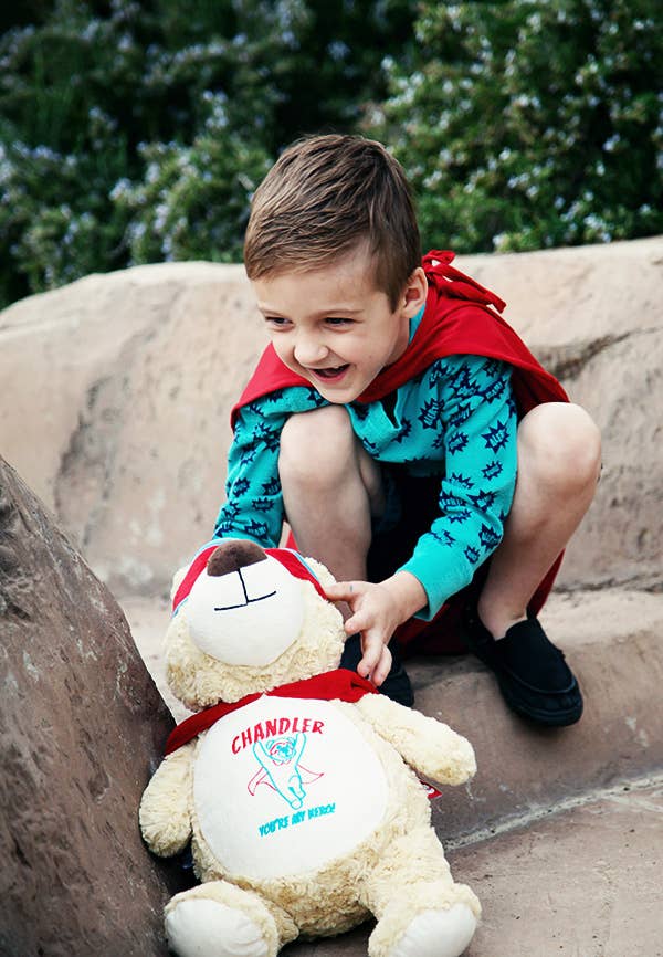 Cubbyford - Hero Bear